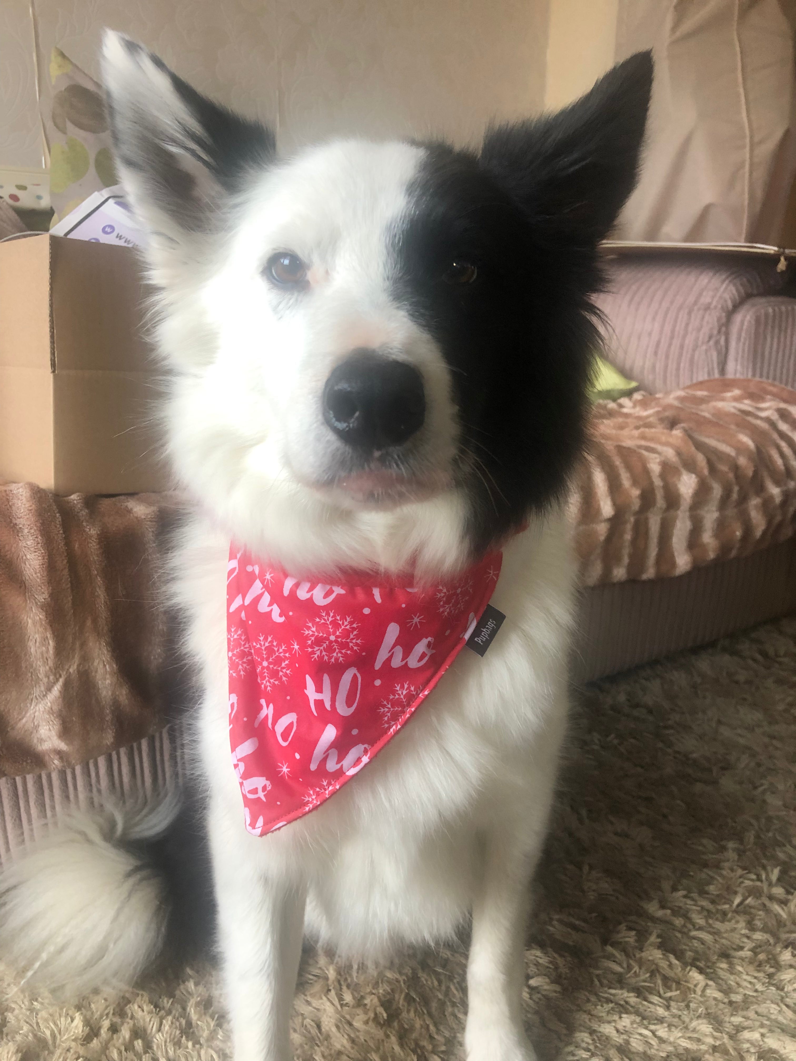 Christmas Bandanas