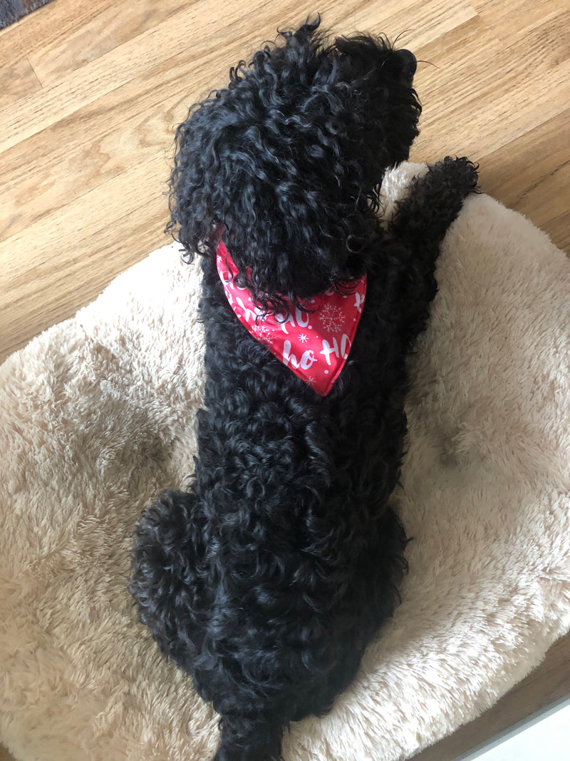 Christmas Bandanas